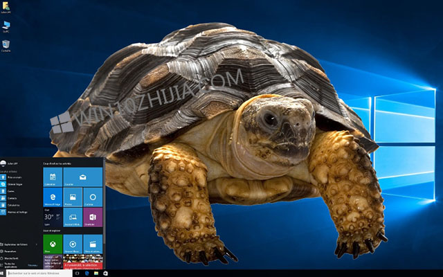 Win10专业版为什么互联网很慢？