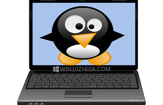 无法使用Win10系统安装Linux咋办？.jpg