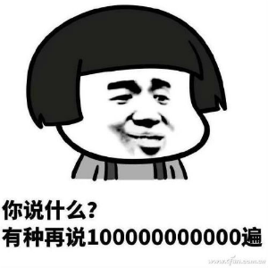 定制启动盘11