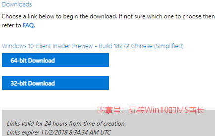 Win10 19H1预览版18272首个ISO镜像下载4.png