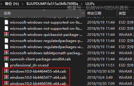 UUP dump downloader可下载Win10 ISO镜像所有版本7.png