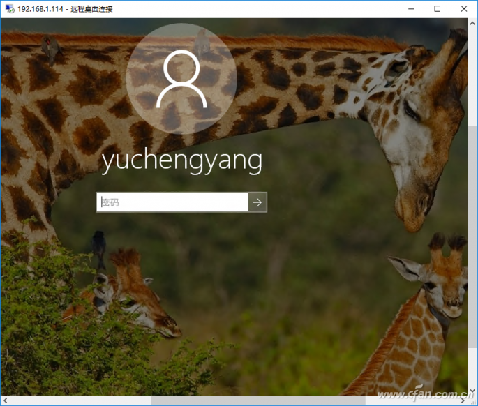 Windows 10特殊截图4