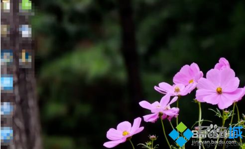 win10电脑桌面怎么设置成动态壁纸的方法