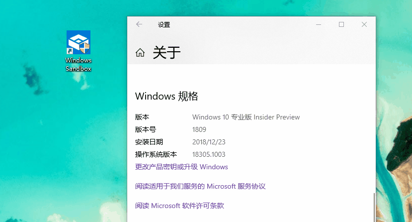 windows10 19H1沙盒无法运行