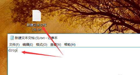 易升程序
