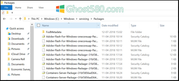 Win10专业版删除Adobe Flash Player的技巧2.jpg