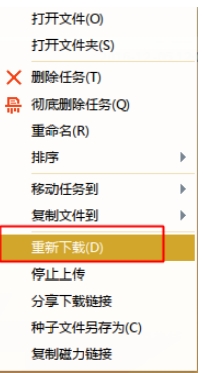 详细分析和解决win10下载迅雷任务出错4.jpg