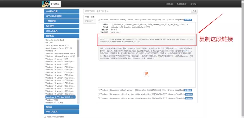msdn官网迅雷Win10 ISO镜像资源下载4.jpg