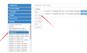 msdn中下载Win10镜像文件5