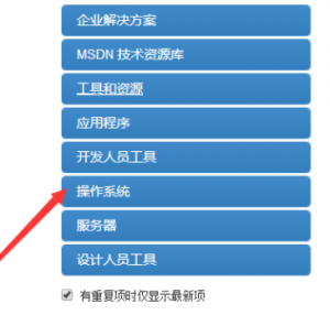 msdn中下载Win10镜像文件3