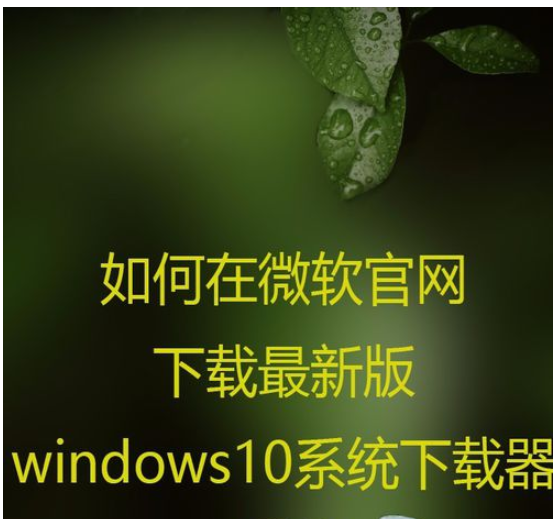 最新版Windows10系统下载器1.png