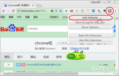 启用特定域名的隐身模式访问