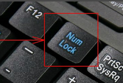 Win10专业版键盘没有反应