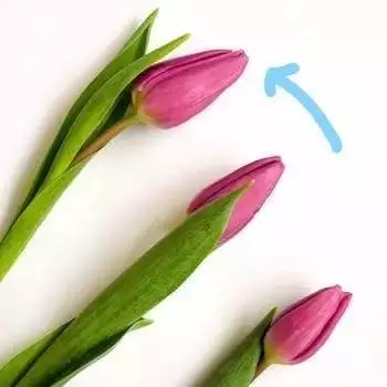 7.webp (1).jpg