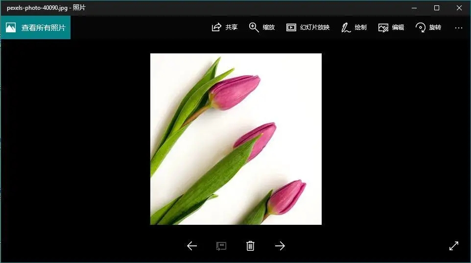 6.webp (1).jpg