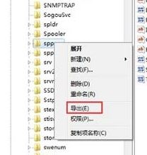 windows7系统下software protection无法启动