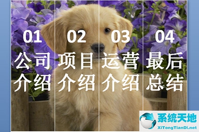 PPT怎么设置形状格式