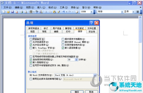 Word2003