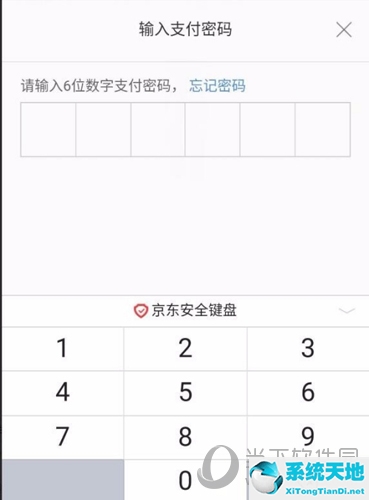 京东输入支付密码