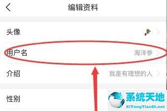 今日头条怎么修改用户名