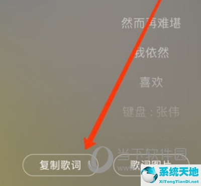 网易云音乐APP分享歌词