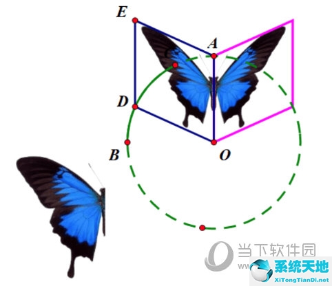 几何画板怎么制作蝴蝶动画