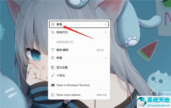 Win11怎么设置桌面软件小图标？Win11设置桌面软件小图标教程(图2)